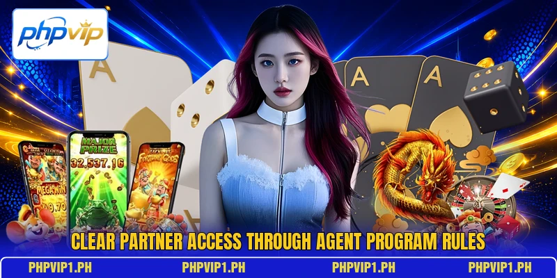 Clear partner access through agent program rules Clear partner access through agent program rules